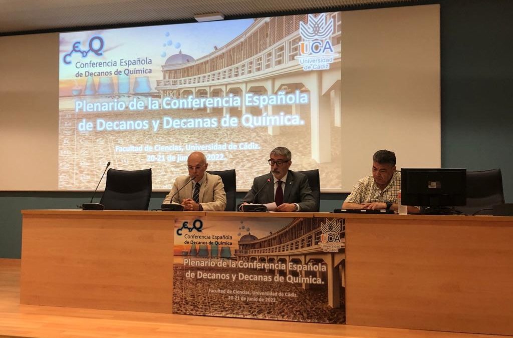 Plenario Conferencia Española de Decanos y Decanas de Química
