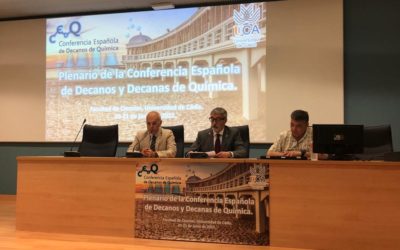 Plenario Conferencia Española de Decanos y Decanas de Química