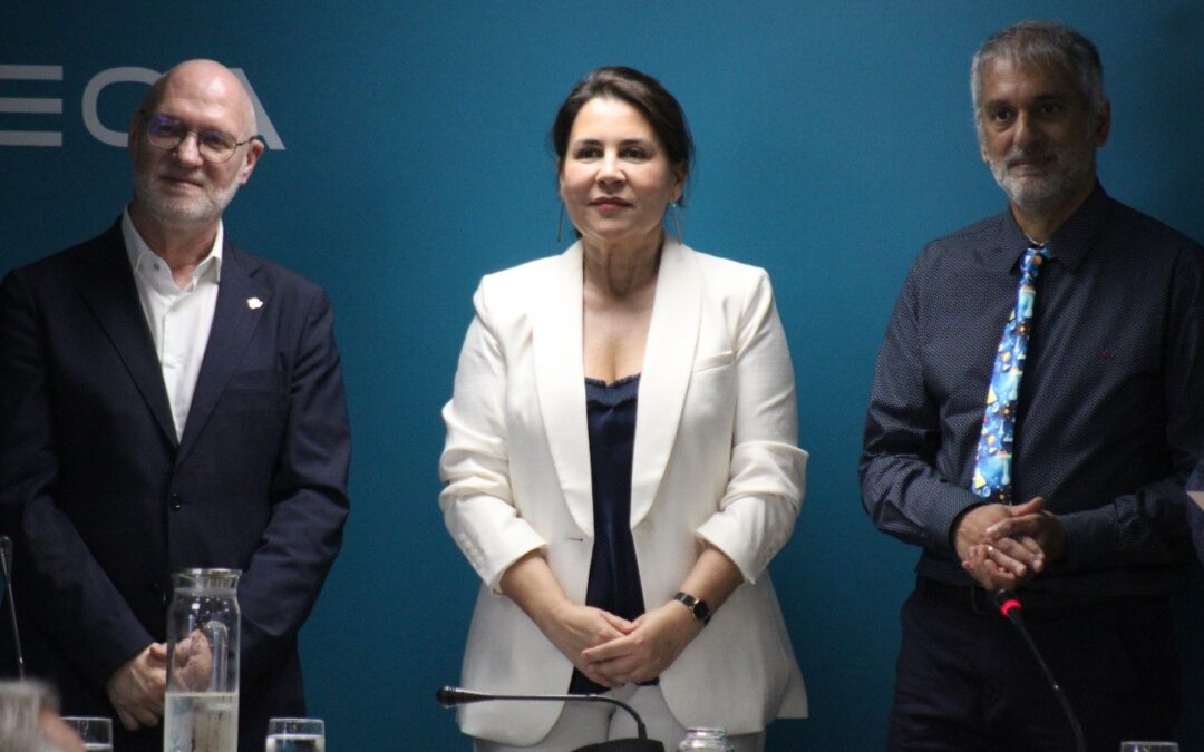 ANECA y ECTN entregan los certificados de los sellos Eurobachelor y Euromaster en Química correspondientes a los ejercicios 2022-2024